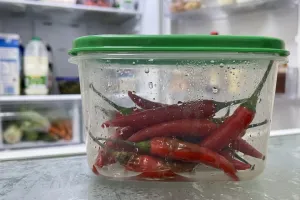 Sering bikin kulkas bau, cara menyimpan cabai seperti ini malah bikin cepat busuk