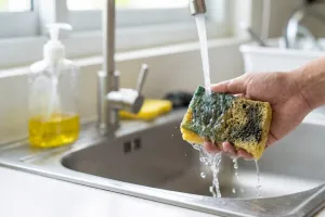 Cuci pakai air mengalir saja kurang, ini trik bikin spons cuci piring kembali higienis dari bakteri