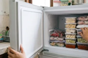 Freezer cepat penuh bunga es, periksa cara menutup dan menyimpan makanan
