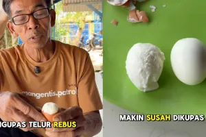 Ngupas telur rebus susah mulus? peternak ayam petelur ini bagikan 2 trik, salah satunya pakai air es