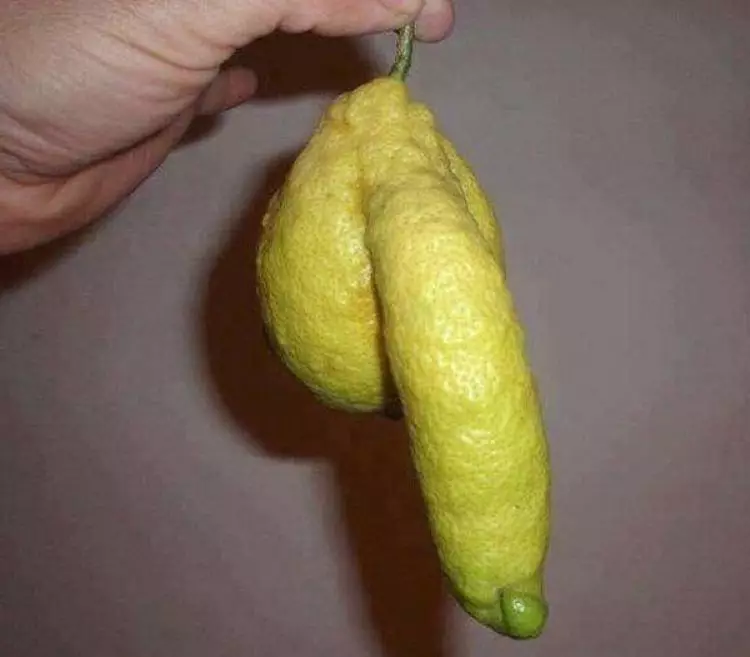 11 FOTO ini sesungguhnya bukan seperti yang dipikirkan banyak orang