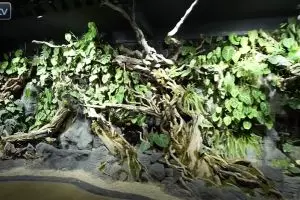 Pernah pamer saldo ATM Rp1 triliun, 11 potret kantor Baim Wong megah ada kolam renang bak waterboom