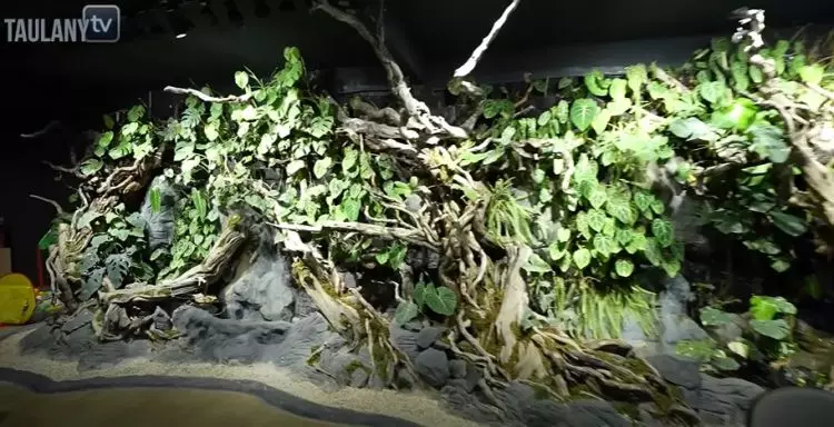 Pernah pamer saldo ATM Rp1 triliun, 11 potret kantor Baim Wong megah ada kolam renang bak waterboom