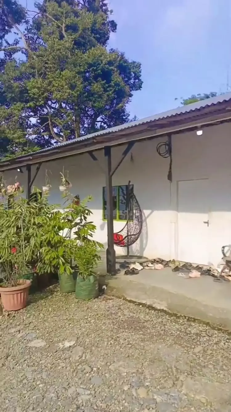 Dari luar sederhana berdinding papan, intip 9 potret rumahnya yang mewah pol serba bernuansa emas