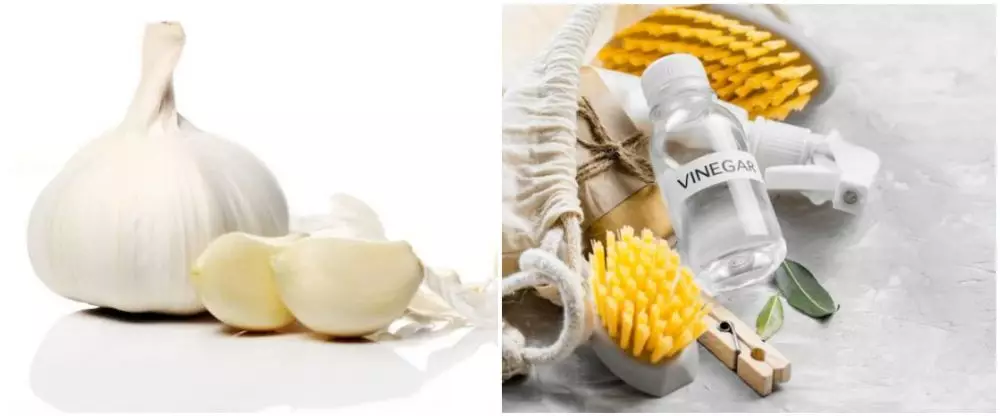 Cara menghilangkan kapalan di tangan dan kaki freepik.com