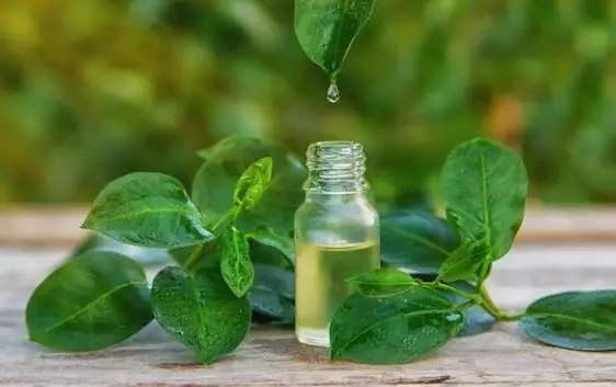 Cara menghilangkan kapalan di tangan dan kaki freepik.com