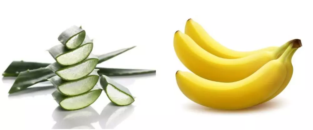 Cara membuat masker lidah buaya untuk kulit kering freepik.com