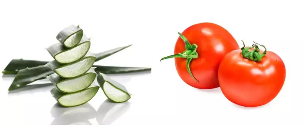 Cara membuat masker lidah buaya untuk kulit kering freepik.com