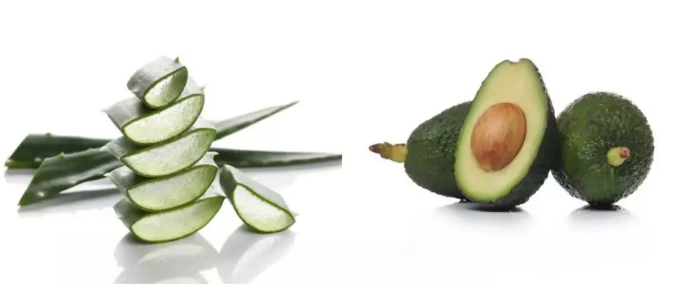 Cara membuat masker lidah buaya untuk kulit kering freepik.com