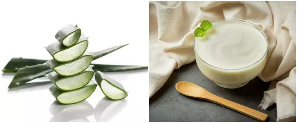 Cara membuat masker lidah buaya untuk kulit kering freepik.com