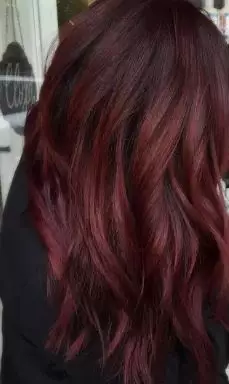 syifafoto © syifafoto ©