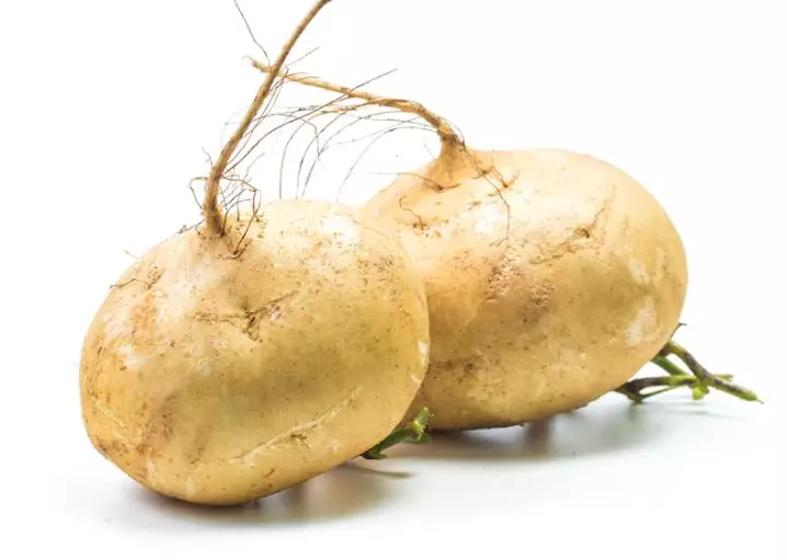 Cara mencerahkan leher yang hitam secara alami freepik.com Cara mencerahkan leher yang hitam secara alami freepik.com