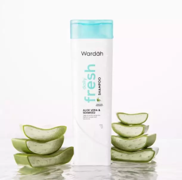 Rekomendasi sampo untuk rambut kering Berbagai sumber