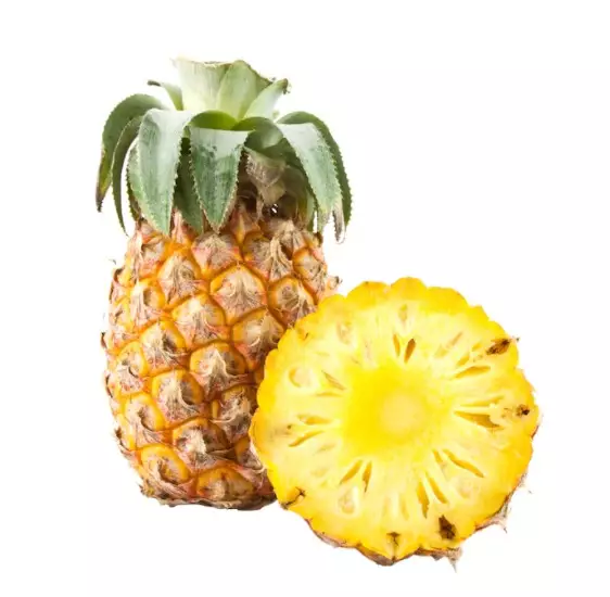 <img style= <img style=