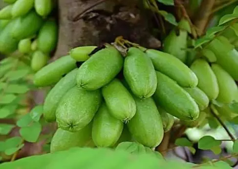 Cara merawat kuku tampak berkilau & sehat freepik.com Cara merawat kuku tampak berkilau & sehat freepik.com