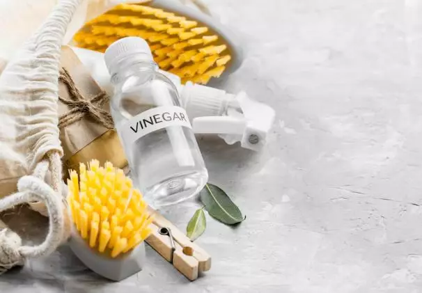 Cara menghiangkan kutu rambut secara alami freepik.com Cara menghiangkan kutu rambut secara alami freepik.com