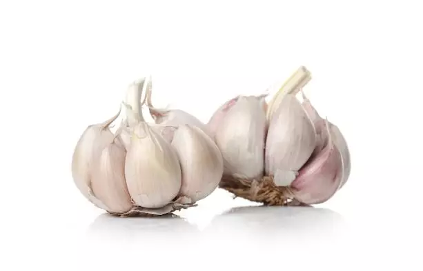 Cara menghiangkan kutu rambut secara alami freepik.com Cara menghiangkan kutu rambut secara alami freepik.com