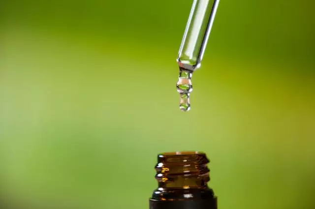 Cara menghiangkan kutu rambut secara alami freepik.com Cara menghiangkan kutu rambut secara alami freepik.com