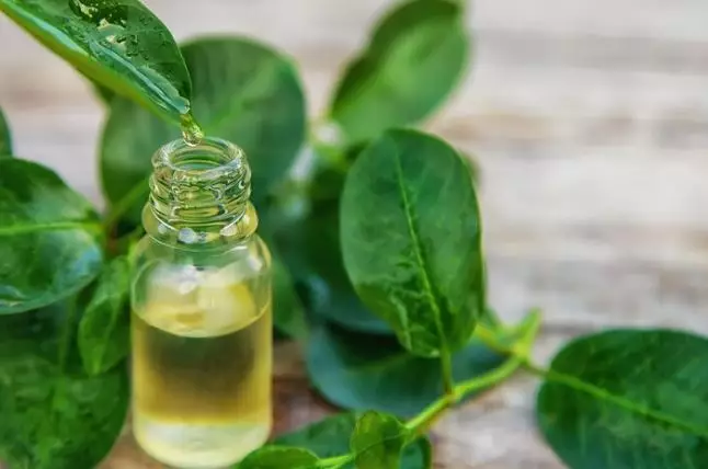 Cara menghiangkan kutu rambut secara alami freepik.com Cara menghiangkan kutu rambut secara alami freepik.com