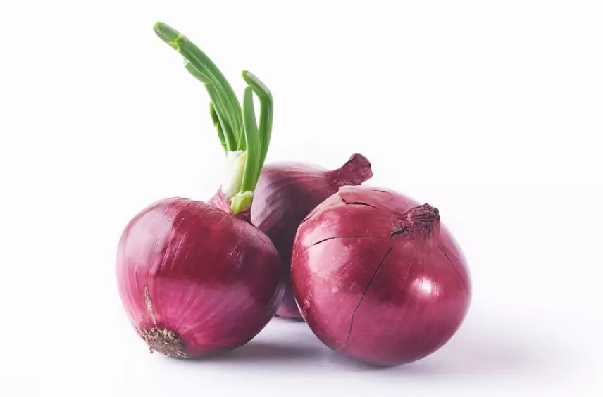 Cara mengatasi kebotakan pakai bahan alami freepik.com