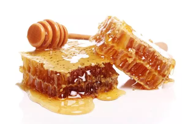 Cara membuat hair mask dengan lidah buaya freepik.com Cara membuat hair mask dengan lidah buaya freepik.com