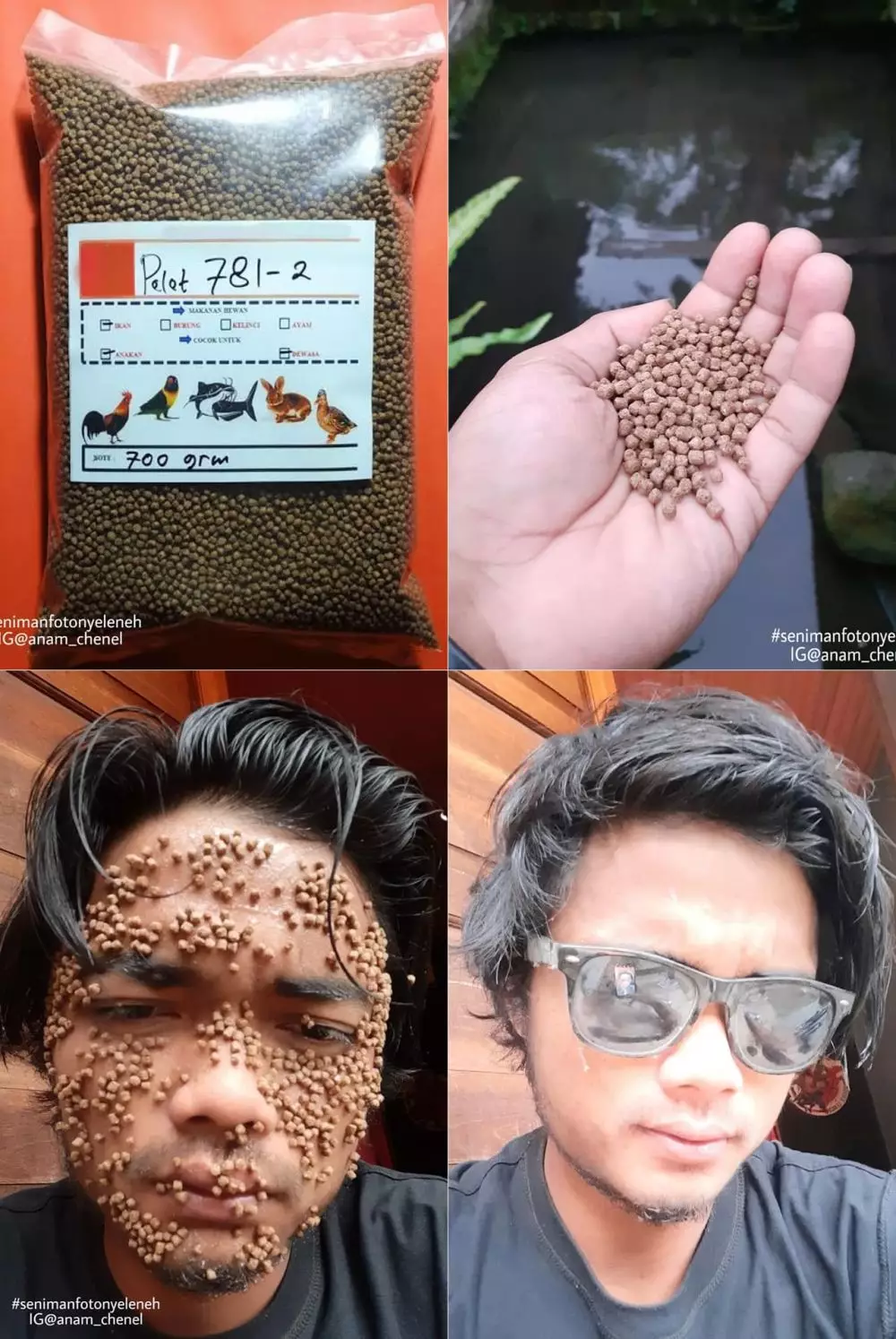 <img style= <img style=