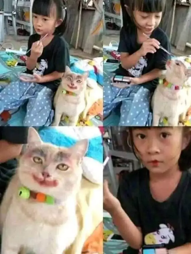 Momen menggemaskan kucing pakai makeup Berbagai sumber Momen menggemaskan kucing pakai makeup Berbagai sumber