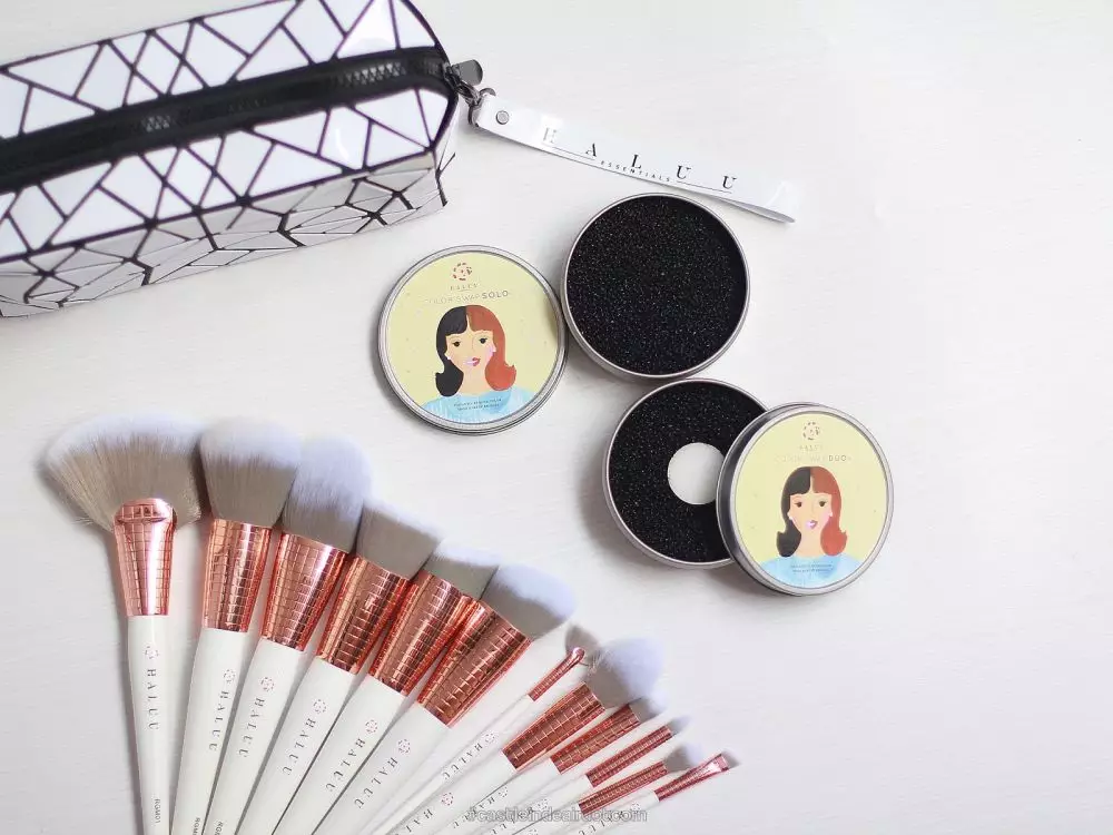 Rekomendasi fan brush makeup Berbagai sumber