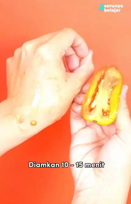 Cara menghilangkan jerawat punggung pakai 1 jenis buah Berbagai sumber Cara menghilangkan jerawat punggung pakai 1 jenis buah Berbagai sumber