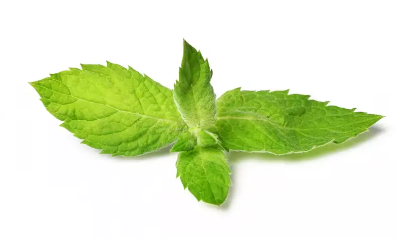 cara mengatasi mata ikan pada kaki berbagai sumber cara mengatasi mata ikan pada kaki berbagai sumber