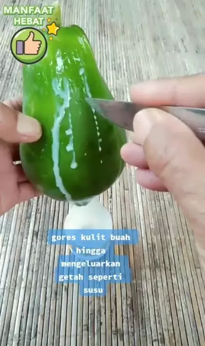 Cara haluskan tumit yang pecah-pecah pakai 1 jenis buah Berbagai sumber Cara haluskan tumit yang pecah-pecah pakai 1 jenis buah Berbagai sumber