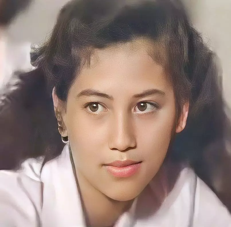 transformasi Meriam Bellina berbagai sumber