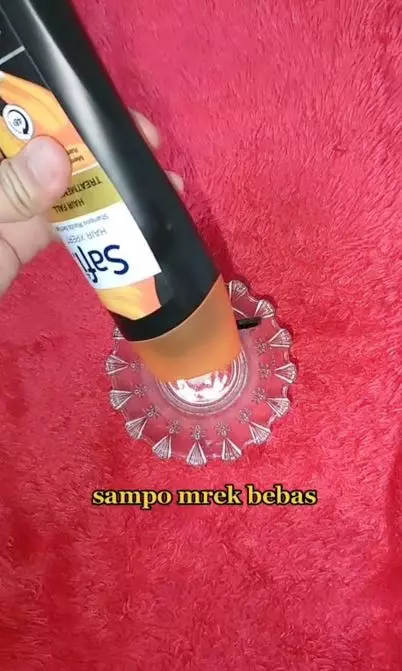 Trik menyuburkan rambut yang tipis pakai 1 bahan dapur Berbagai sumber Trik menyuburkan rambut yang tipis pakai 1 bahan dapur Berbagai sumber