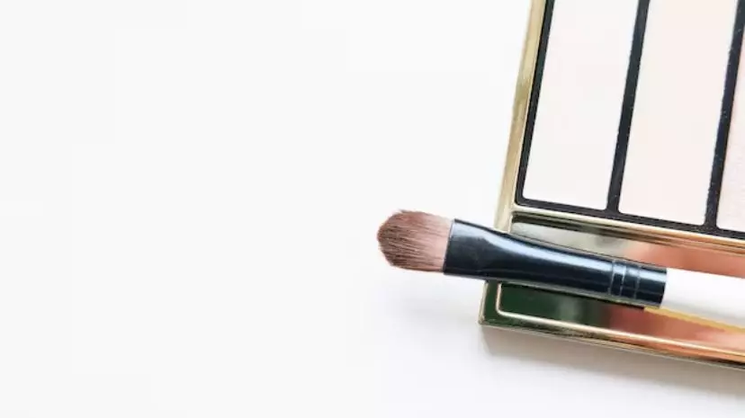 jenis brush dan kegunaannya © berbagai sumber