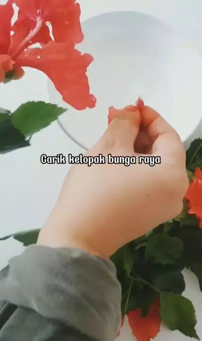 Trik membuat rambut berkilau cuma pakai 1 jenis bunga Berbagai sumber Trik membuat rambut berkilau cuma pakai 1 jenis bunga Berbagai sumber