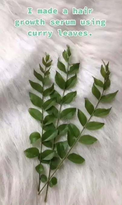 Trik melebatkan rambut pakai 1 jenis daun Berbagai sumber