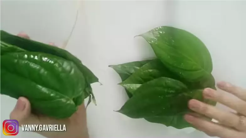 cara membuat masker untuk cegah penuaan dini berbagai sumber cara membuat masker untuk cegah penuaan dini berbagai sumber