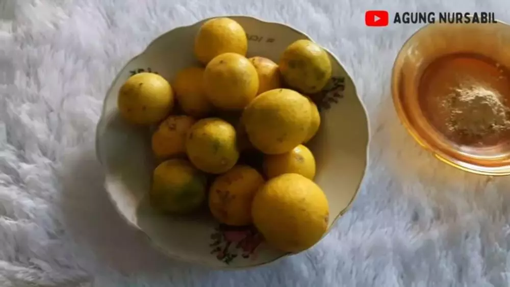 cara atasi eksim di tangan berbagai sumber