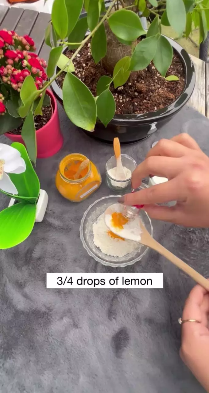 trik membuat masker pencerah kulit © berbagai sumber trik membuat masker pencerah kulit © berbagai sumber