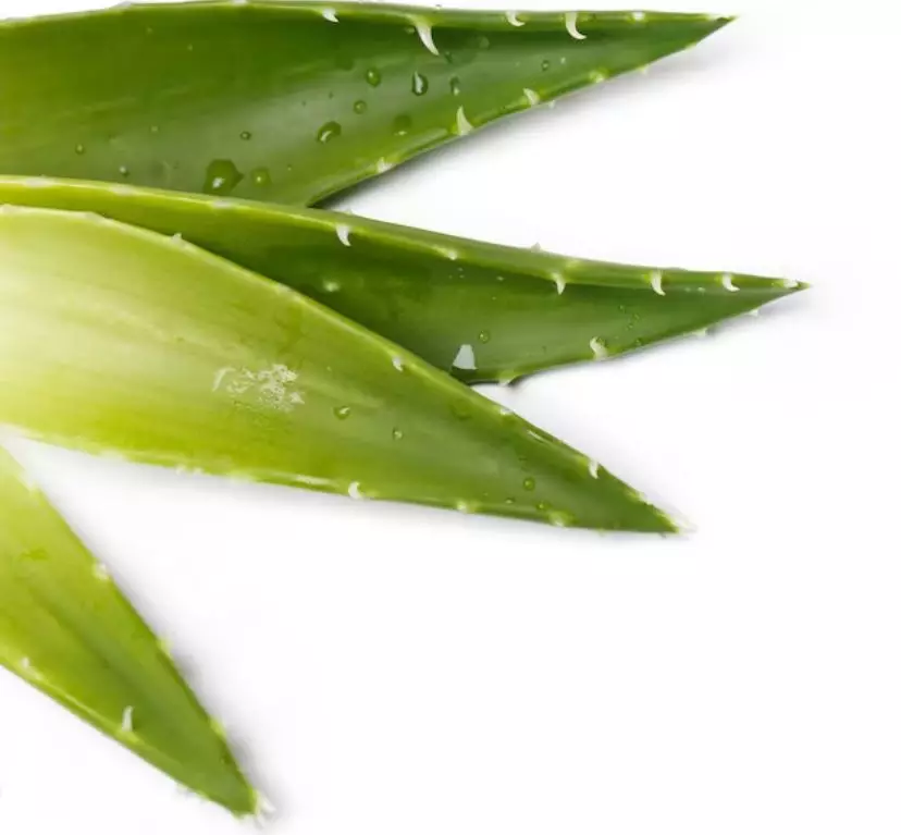 10 cara mengatasi kulit tangan kering © freepik.com 10 cara mengatasi kulit tangan kering © freepik.com