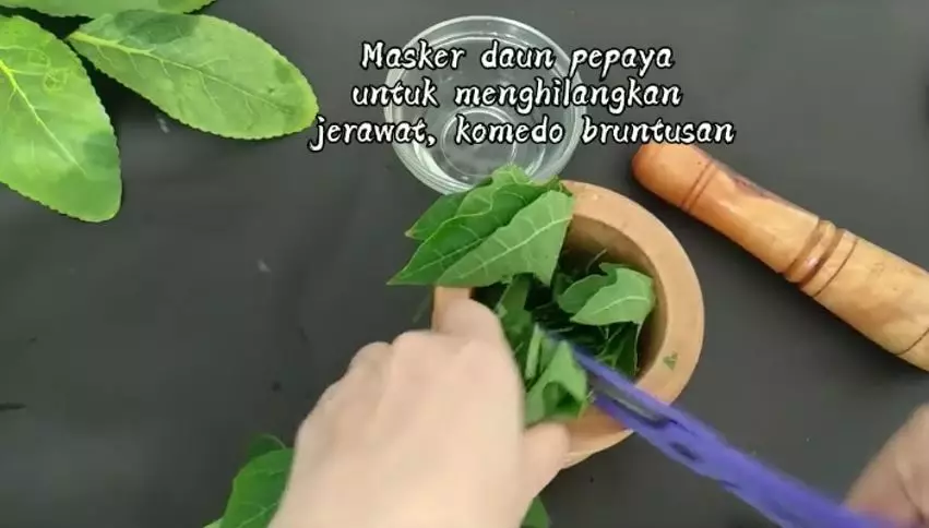 Trik membuat face mask atasi jerawat dari 1 jenis daun Berbagai sumber