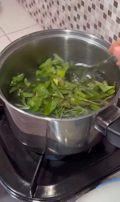 Trik atasi rontok pakai hair tonic dari 2 jenis daun Berbagai sumber Trik atasi rontok pakai hair tonic dari 2 jenis daun Berbagai sumber