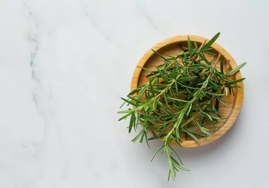 Trik atasi rontok pakai hair tonic dari 2 jenis daun Berbagai sumber Trik atasi rontok pakai hair tonic dari 2 jenis daun Berbagai sumber