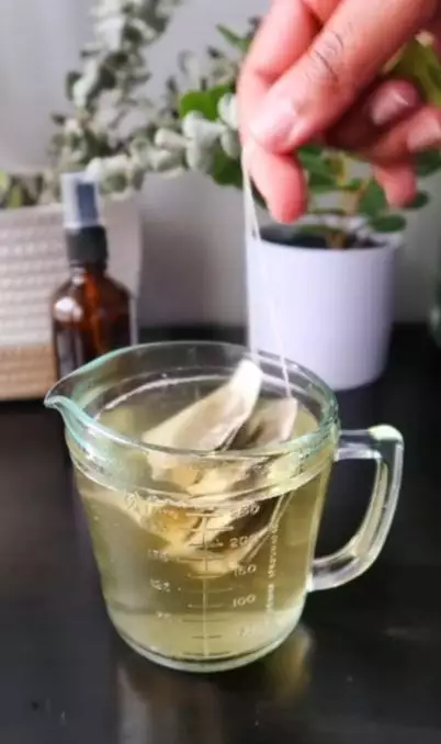 Cara cegah penuaan dini pakai toner dari 1 bahan minuman Berbagai sumber Cara cegah penuaan dini pakai toner dari 1 bahan minuman Berbagai sumber