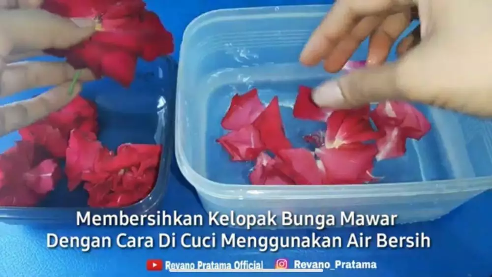 toner sendiri hanya pakai 1 jenis bunga © 2023 berbagai sumber toner sendiri hanya pakai 1 jenis bunga © 2023 berbagai sumber