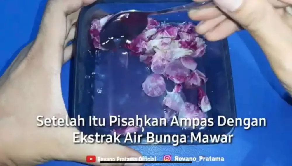 toner sendiri hanya pakai 1 jenis bunga © 2023 berbagai sumber toner sendiri hanya pakai 1 jenis bunga © 2023 berbagai sumber
