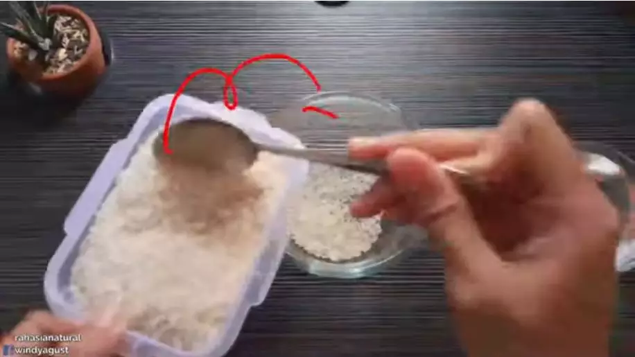 Cara memutihkan wajah hanya pakai krim berbagai sumber Cara memutihkan wajah hanya pakai krim berbagai sumber