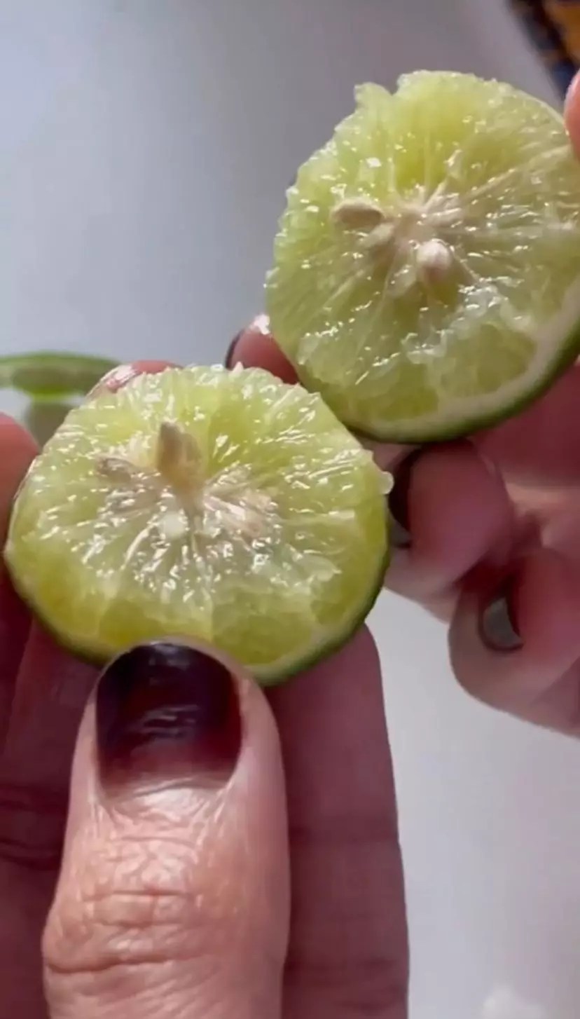 ketiak © 2023 brilio.net