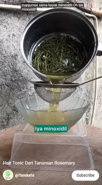 cara membuat hair tonic hanya pakai 1 jenis daun berbagai sumber