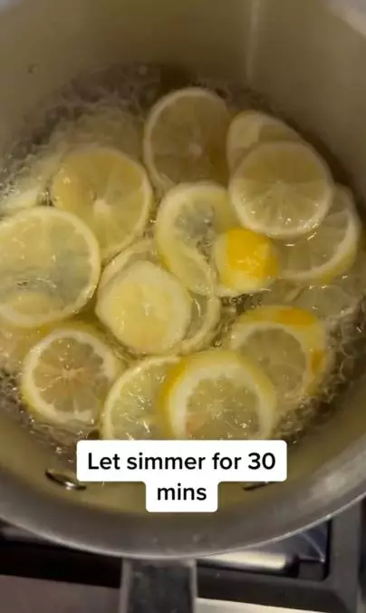 Cara membuat hair spray untuk atasi kusut pakai 1 jenis buah Berbagai sumber Cara membuat hair spray untuk atasi kusut pakai 1 jenis buah Berbagai sumber